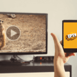 Stream What You Love: Get an IPTV Subscription Today